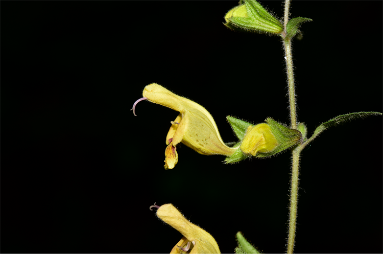 1730190045712693.png 26-2.png