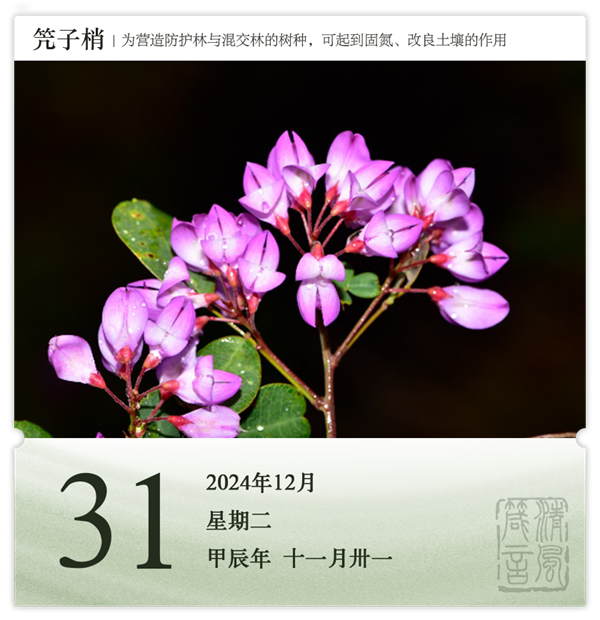 1732871894332124.png 箴歷日歷12-31.png