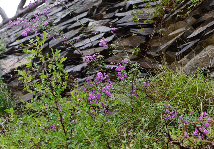 1732871933794360.png 31-2.png