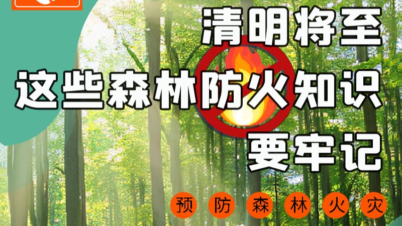 【甘快看】圖解|緊繃“安全弦”！清明，這些森林防火知識要牢記
