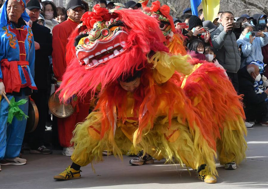 蘭州北獅表演現(xiàn)場(chǎng)。受訪者供圖