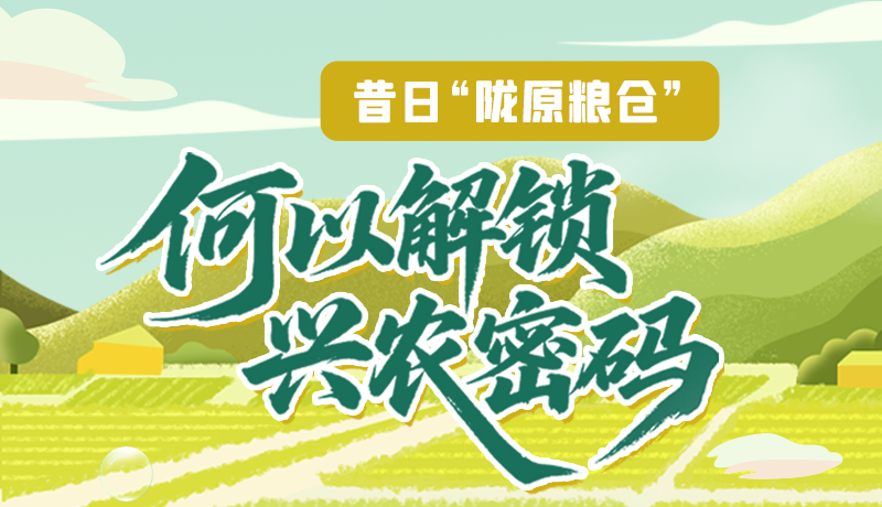 【理響中國·話隴點(diǎn)睛（3）】昔日“隴原糧倉”，何以解鎖“興農(nóng)密碼”