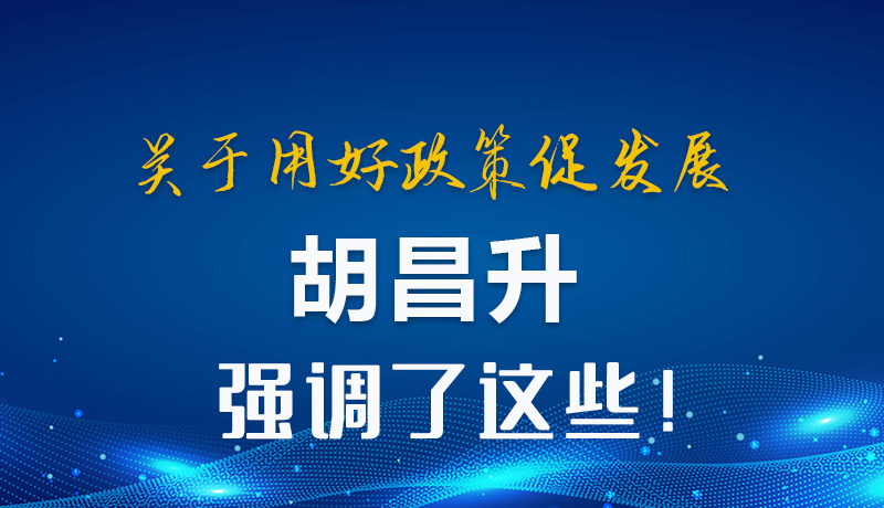 圖解|關(guān)于用好政策促發(fā)展 胡昌升強調(diào)了這些！
